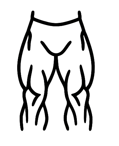 Legs Icon
